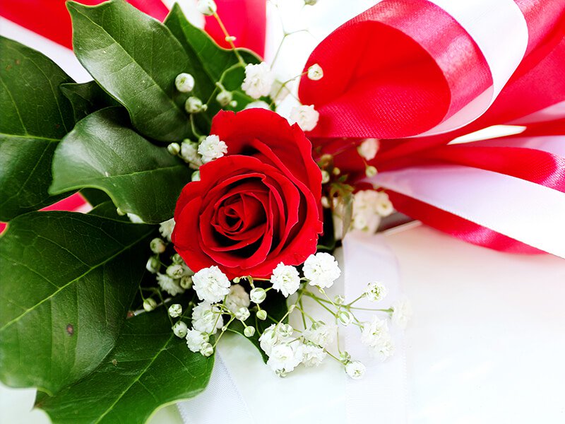 Sant Jordi, aconsegueix una rosa amb la targeta Viba Barcelona Sant Jordi, aconsegueix una rosa amb la targeta Viba Barcelona
